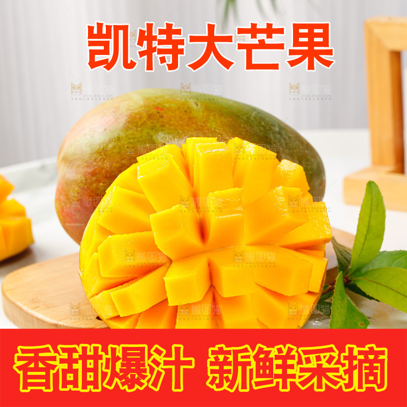 浅底上的凯特芒