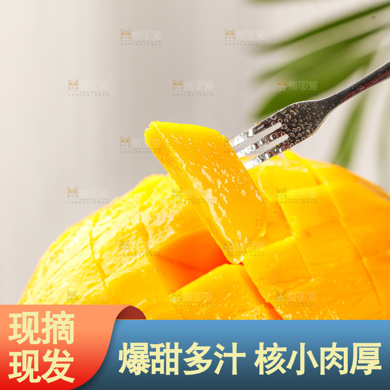 浅底上的凯特芒