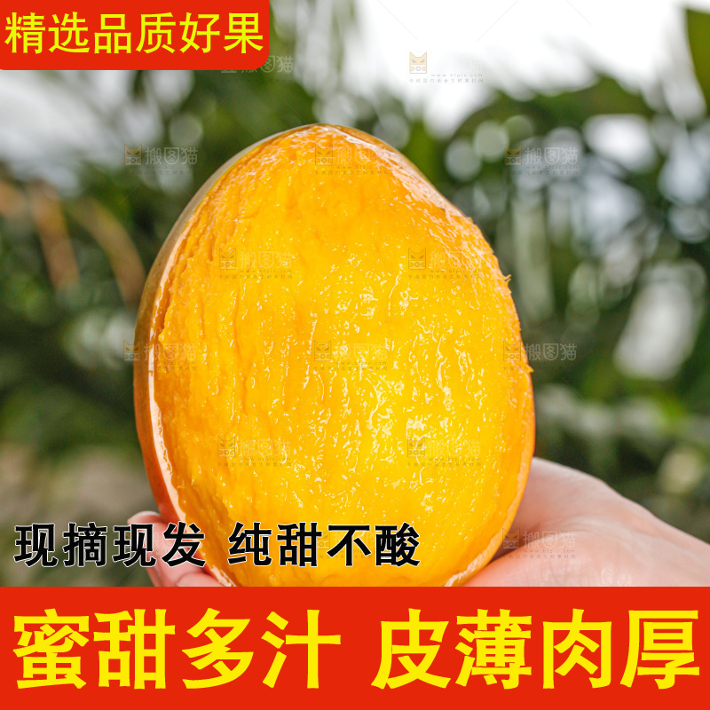 手里拿着凯特芒