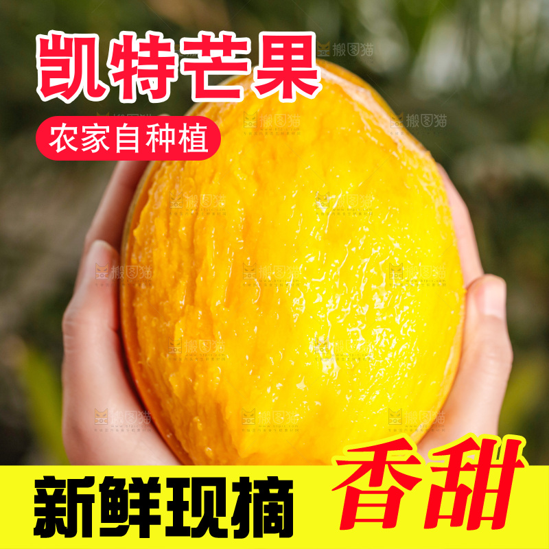 手里拿着凯特芒