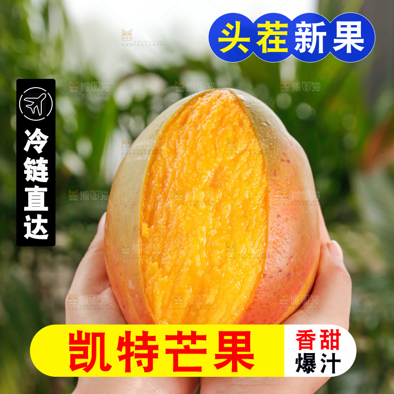 手里拿着凯特芒