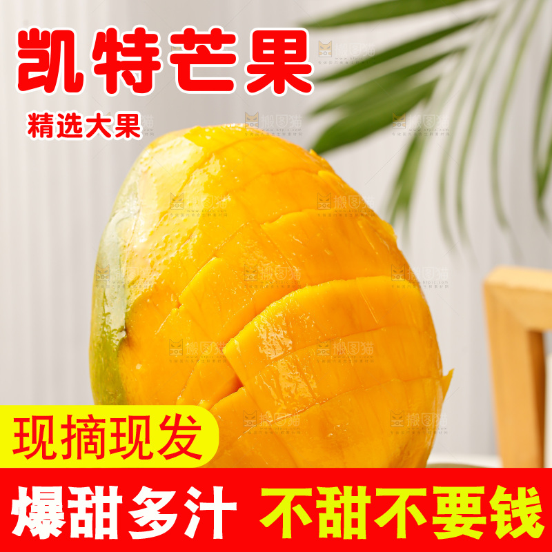 浅底上的凯特芒