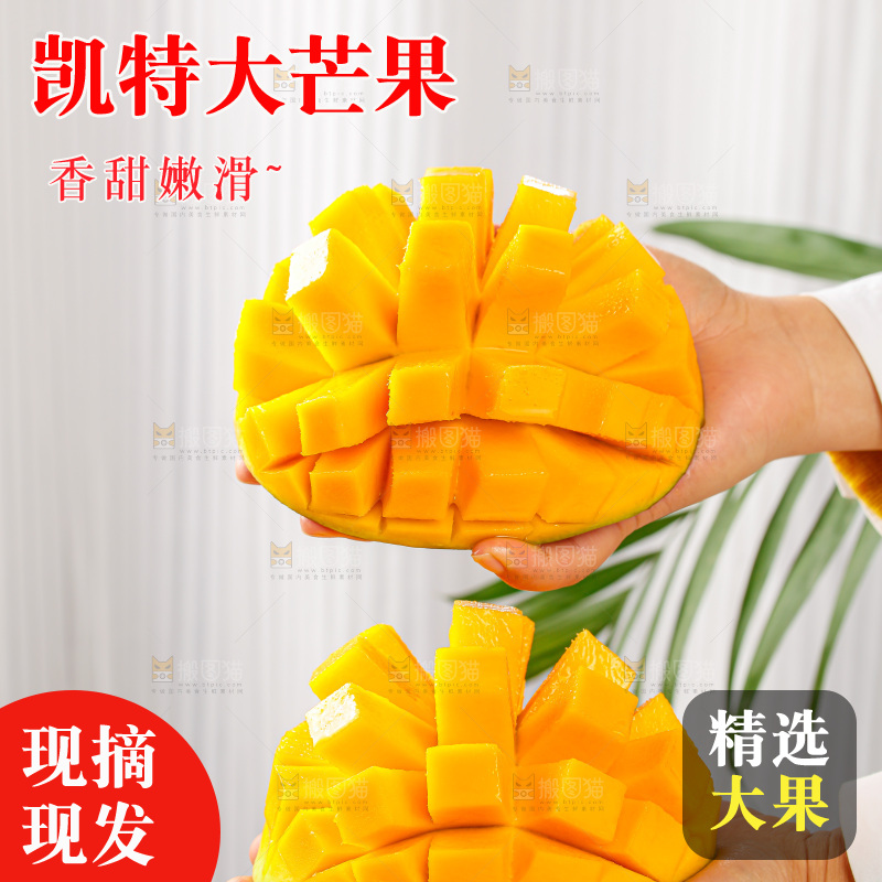 手里拿着凯特芒