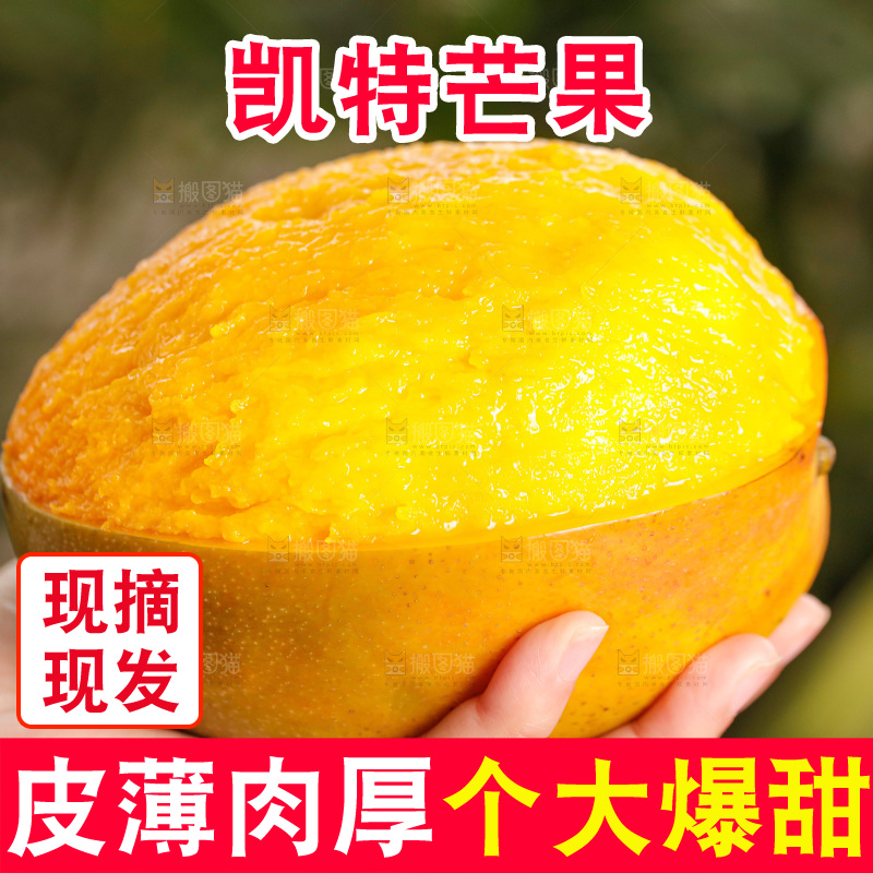 手里拿着凯特芒