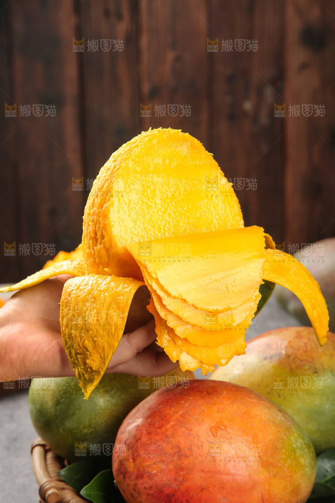 深底上的凯特芒