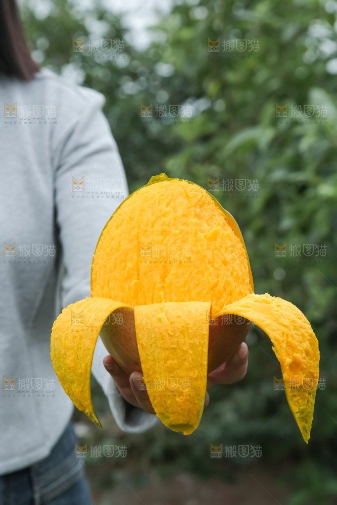 深底上的凯特芒