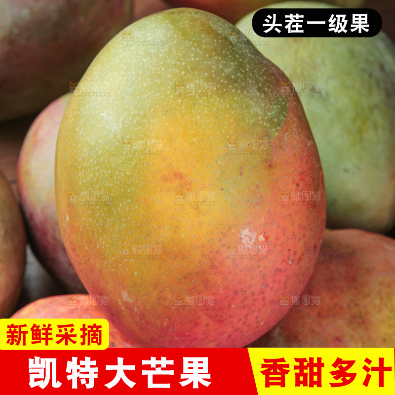 深底上的凯特芒
