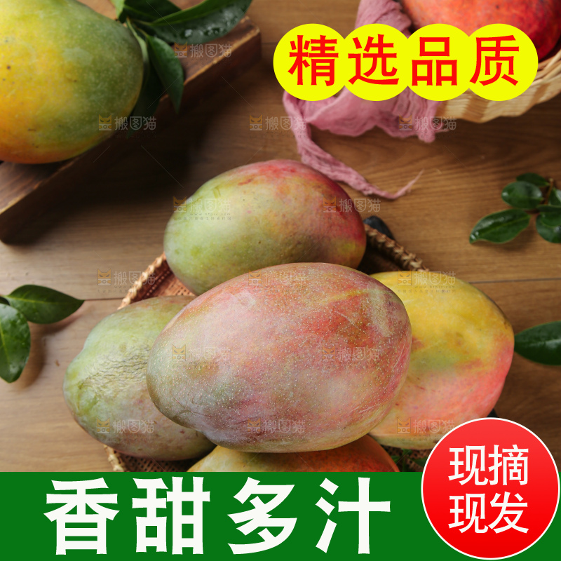 深底上的凯特芒