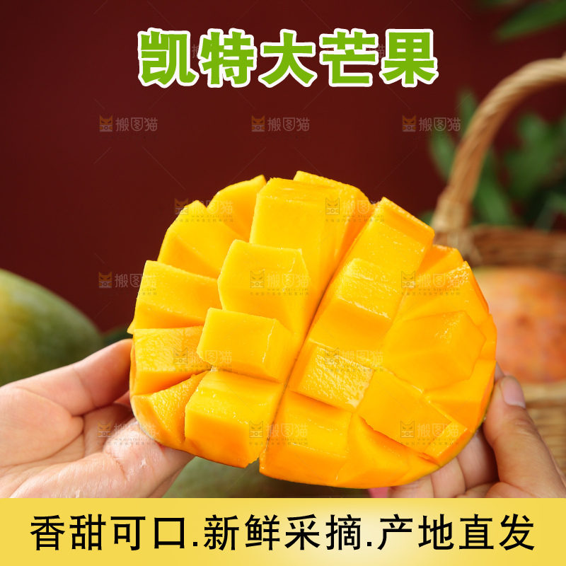 深底上的凯特芒