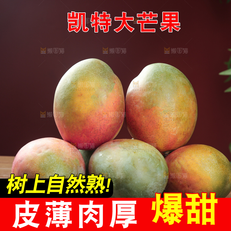 深底上的凯特芒