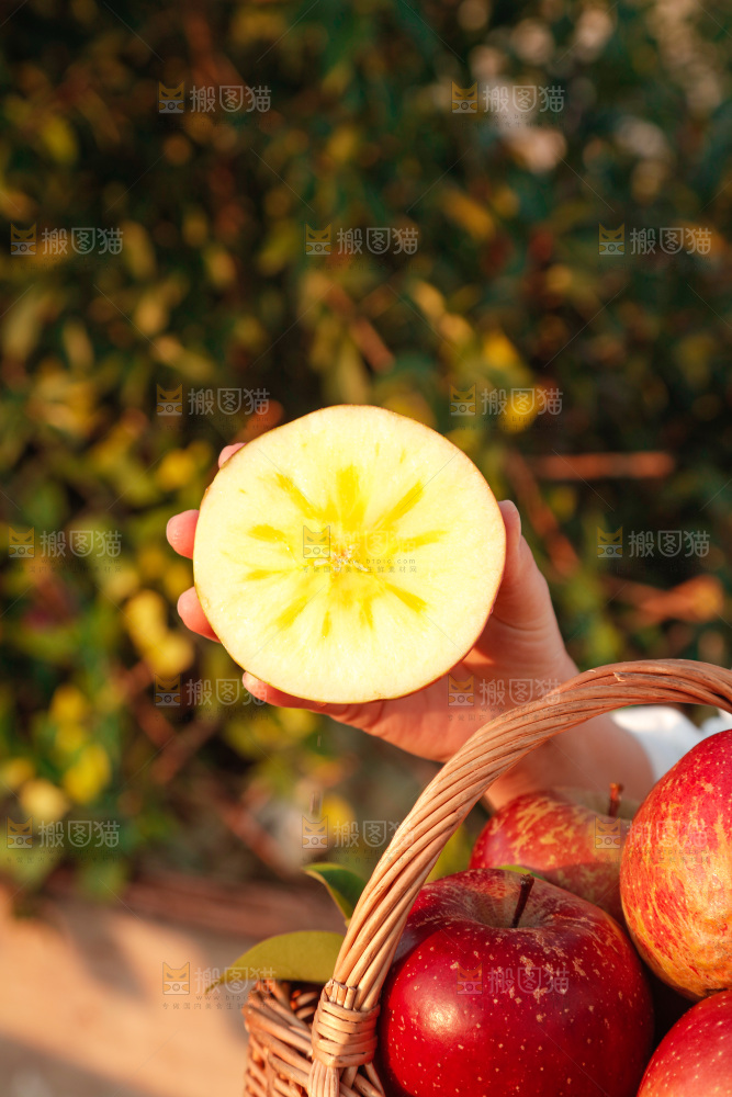 手里拿着丑苹果