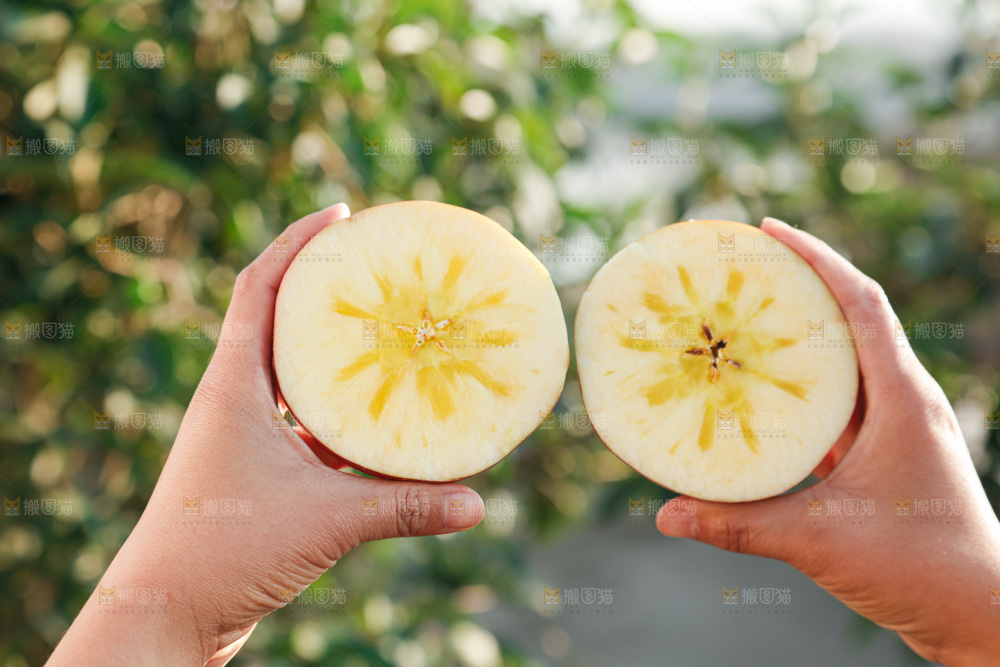 手里拿着丑苹果