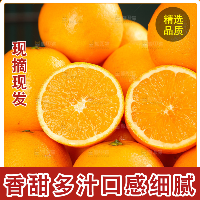 深底上的麻阳冰糖橙