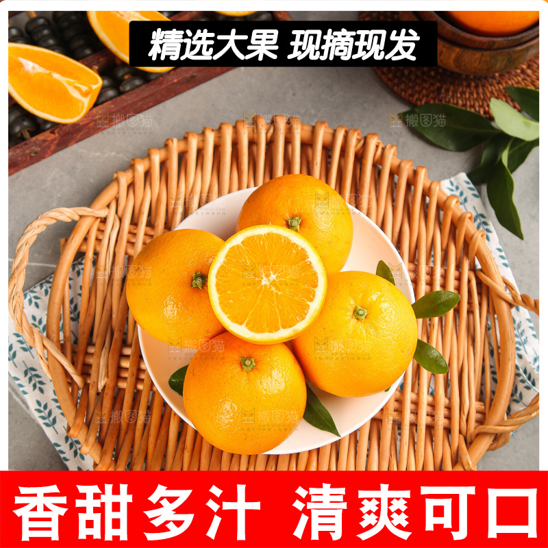 深底上的麻阳冰糖橙