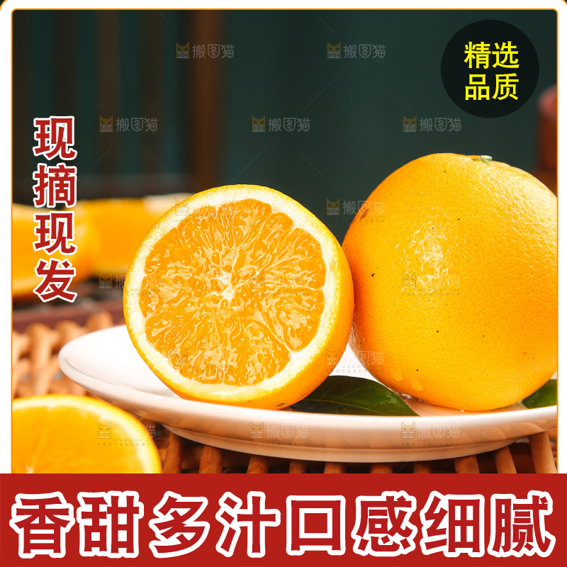 深底上的麻阳冰糖橙