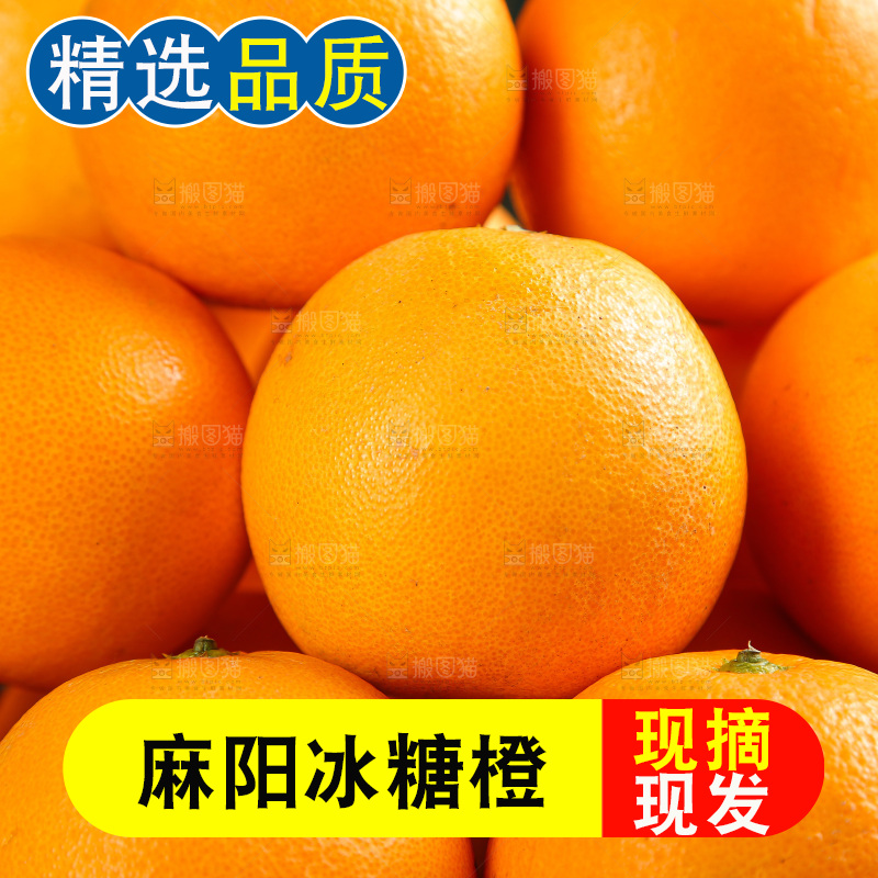 深底上的麻阳冰糖橙