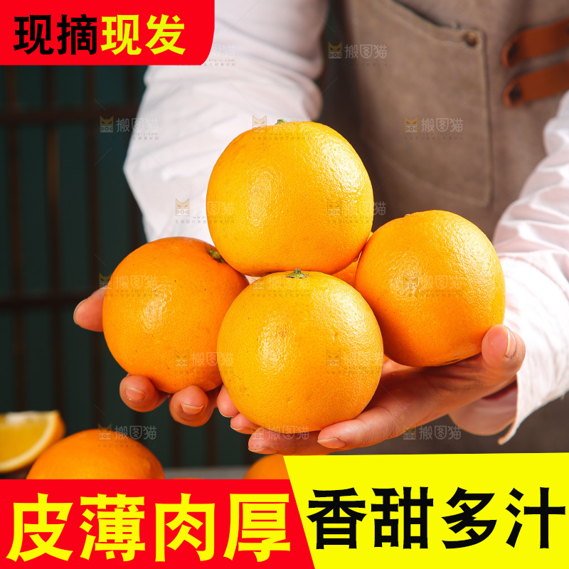 深底上的麻阳冰糖橙