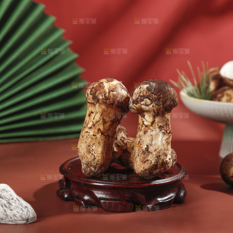 深底上的松茸菇