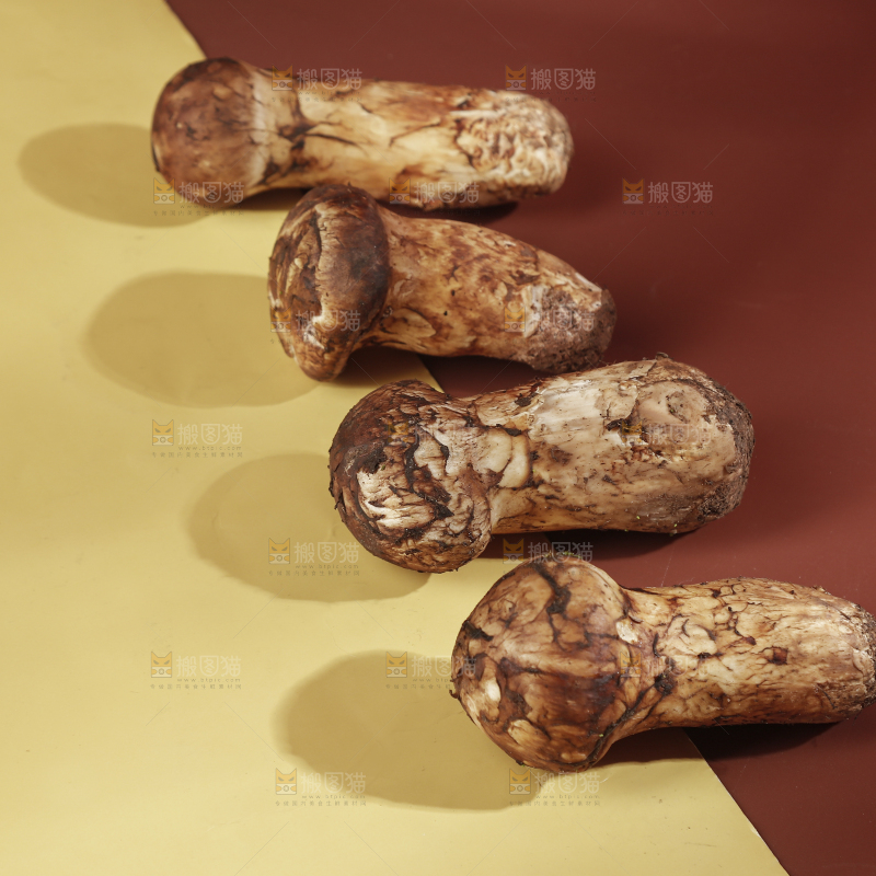 深底上的松茸菇