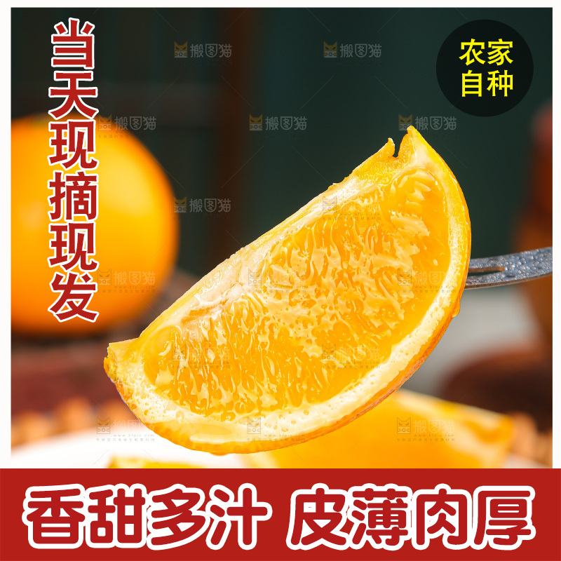 深底上的麻阳冰糖橙