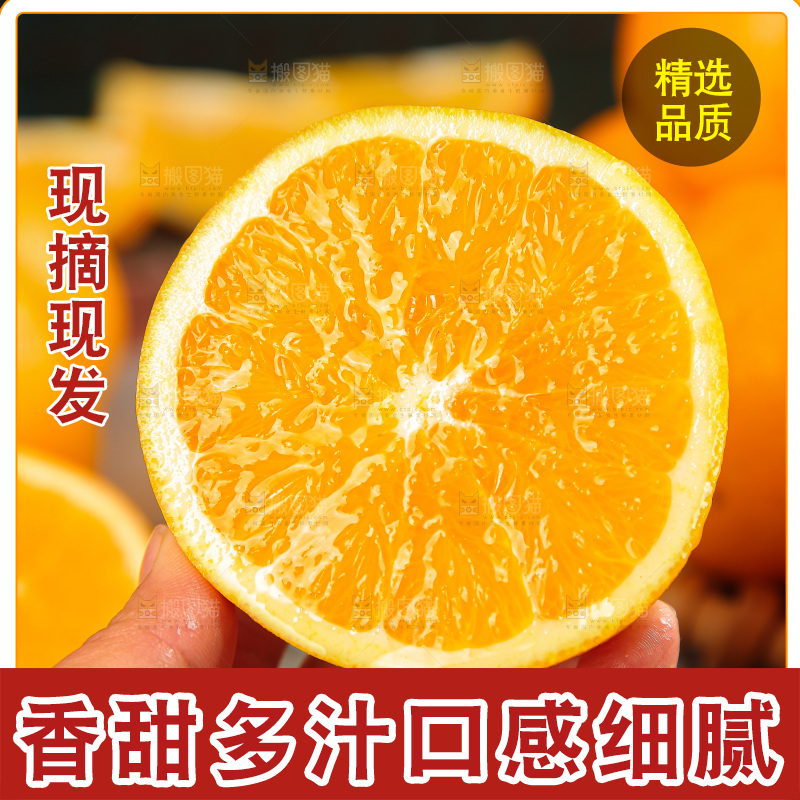 深底上的麻阳冰糖橙