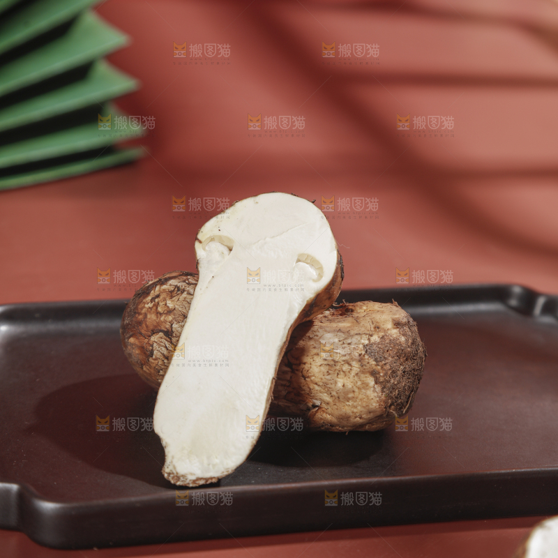 深底上的松茸菇