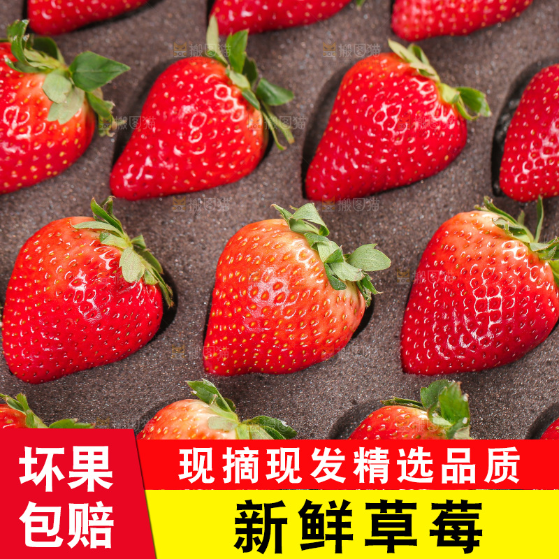 礼盒装的黑金刚草莓