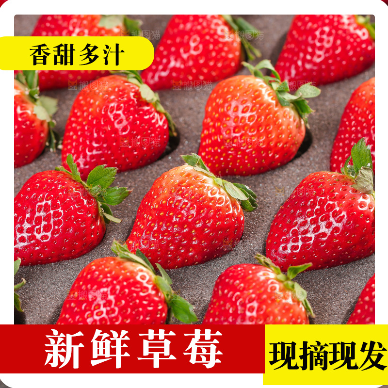 礼盒装的黑金刚草莓