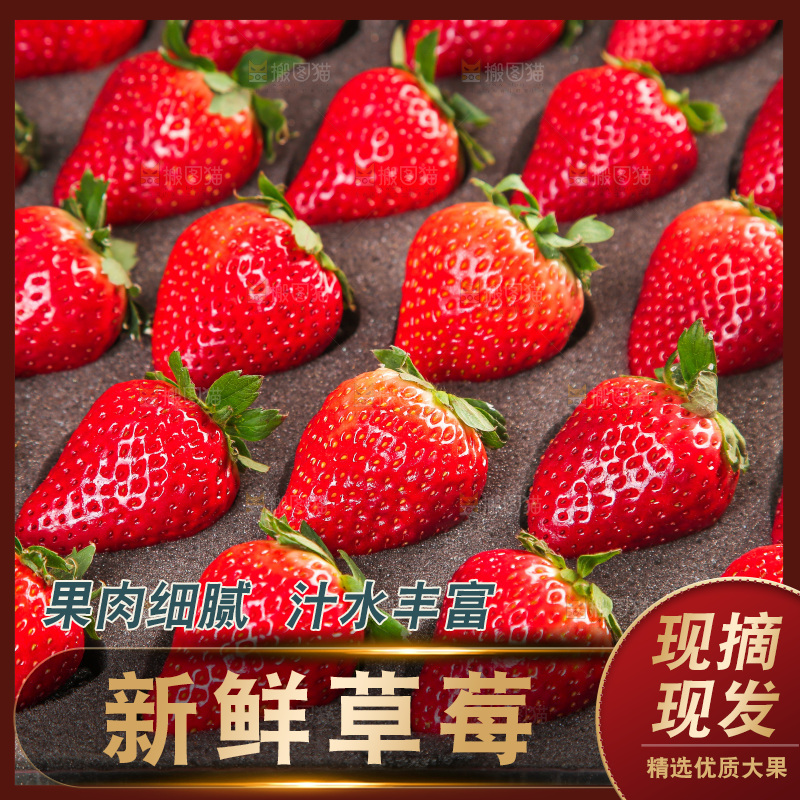 礼盒装的黑金刚草莓