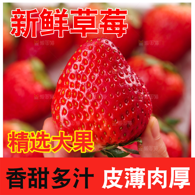 浅底上的丹东草莓