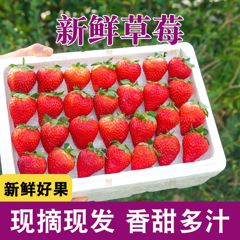 箱子里装的新鲜草莓