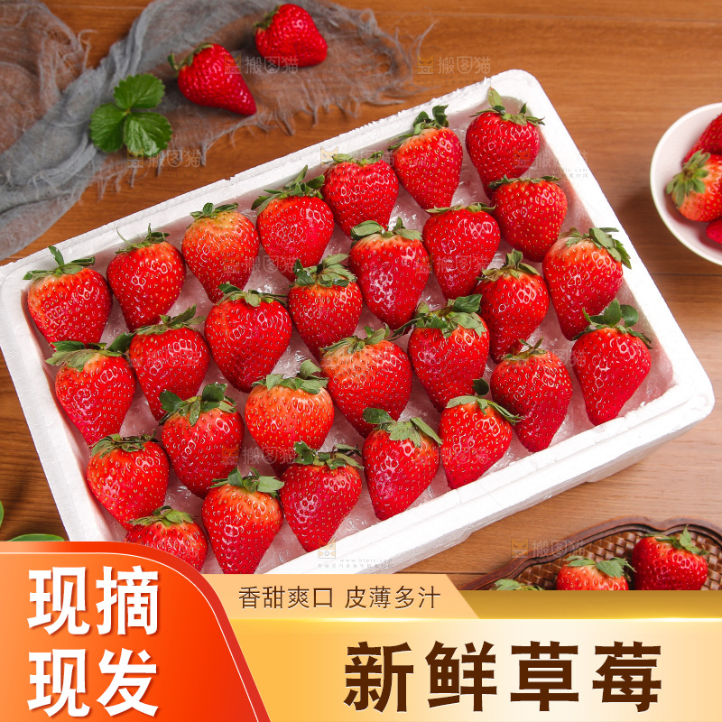 箱子里装的新鲜草莓