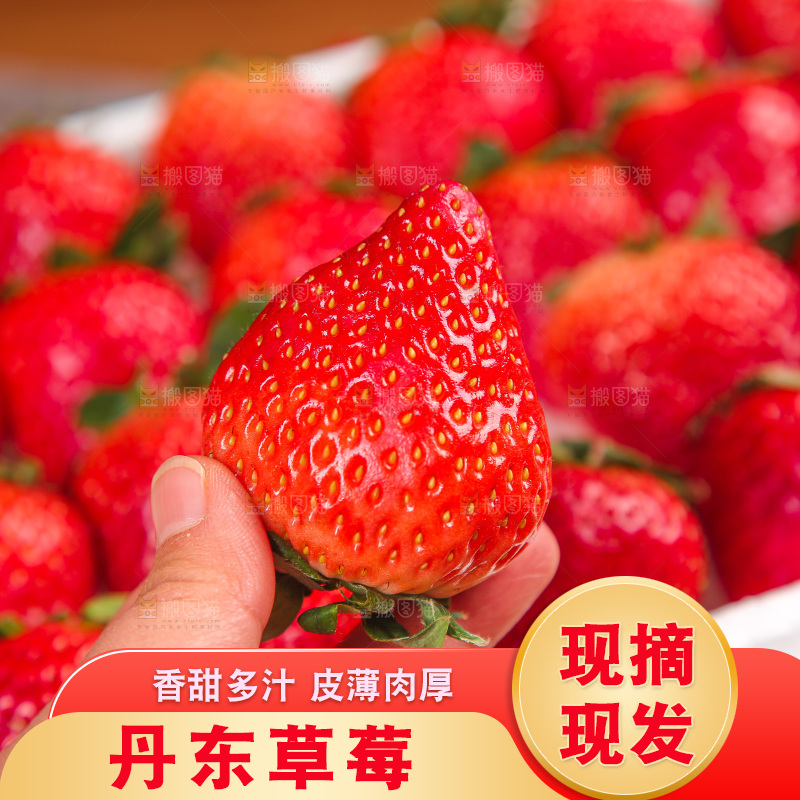 箱子里装的新鲜草莓
