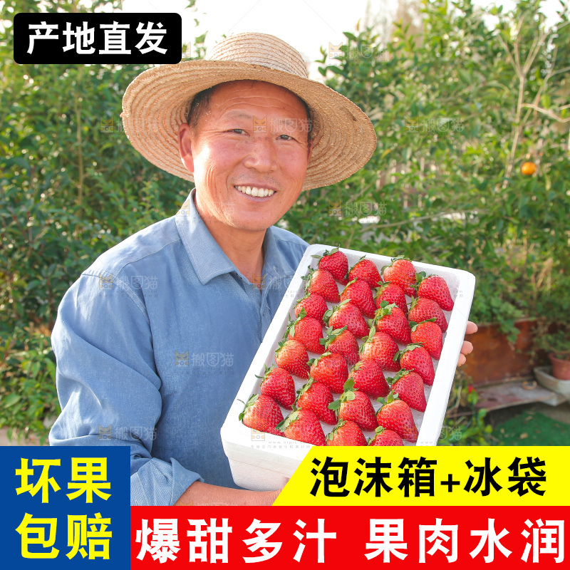 箱子里装的新鲜草莓