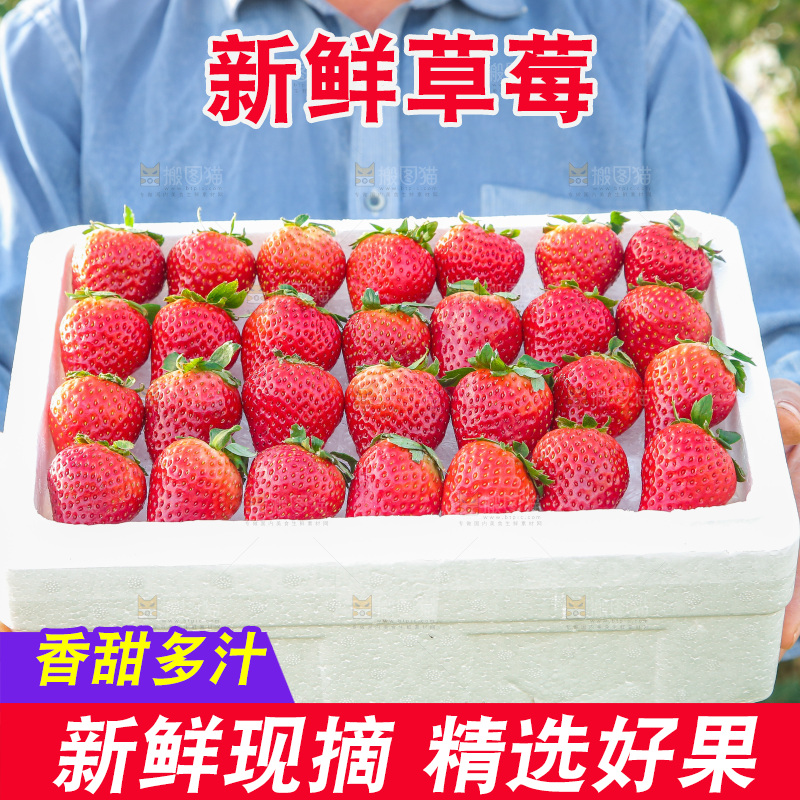 箱子里装的新鲜草莓