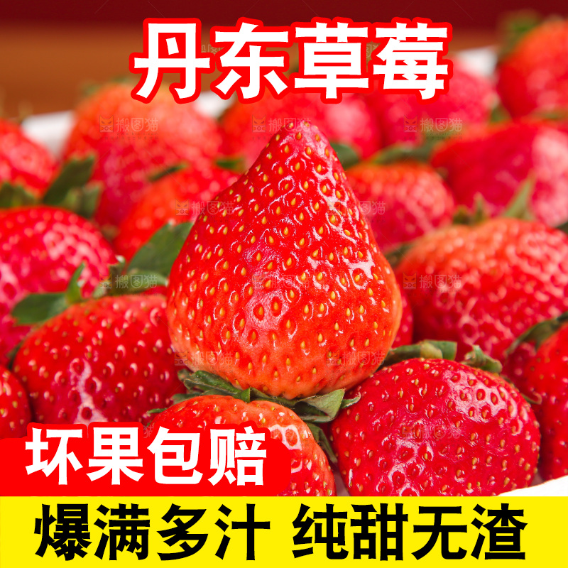 箱子里装的新鲜草莓