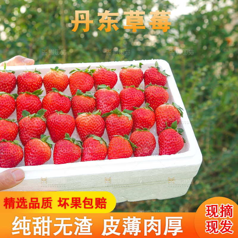 箱子里装的新鲜草莓