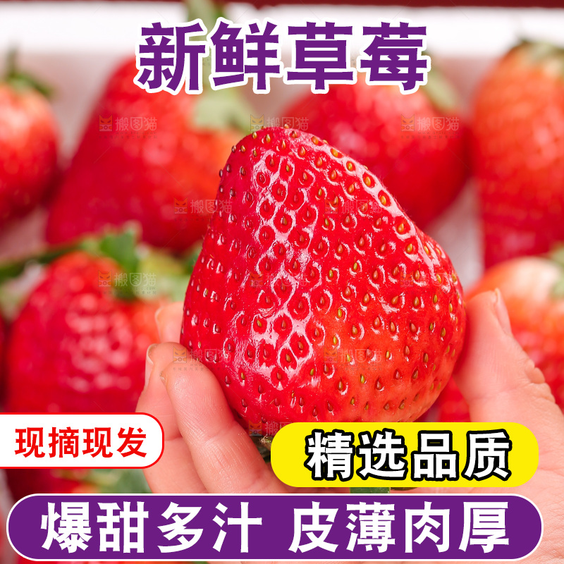 浅底上的丹东草莓