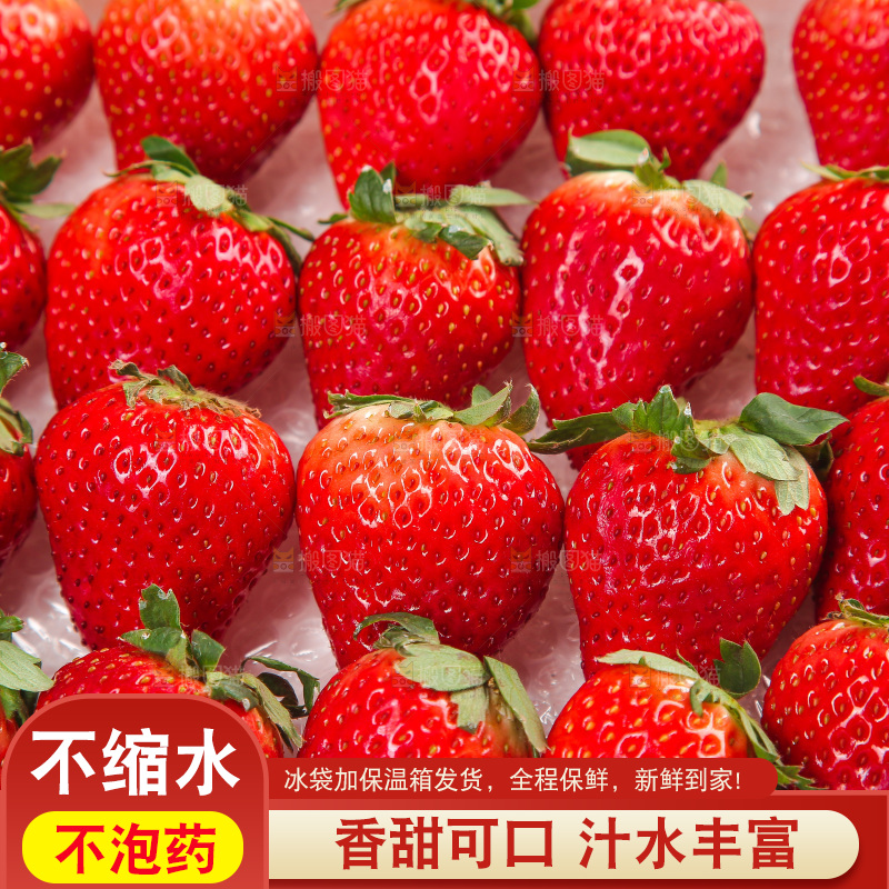 箱子里装的新鲜草莓