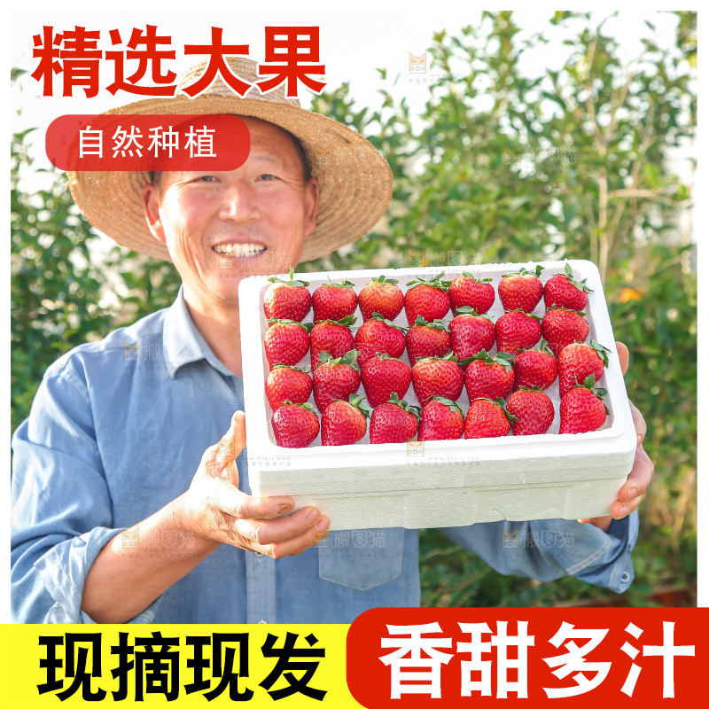 箱子里装的新鲜草莓