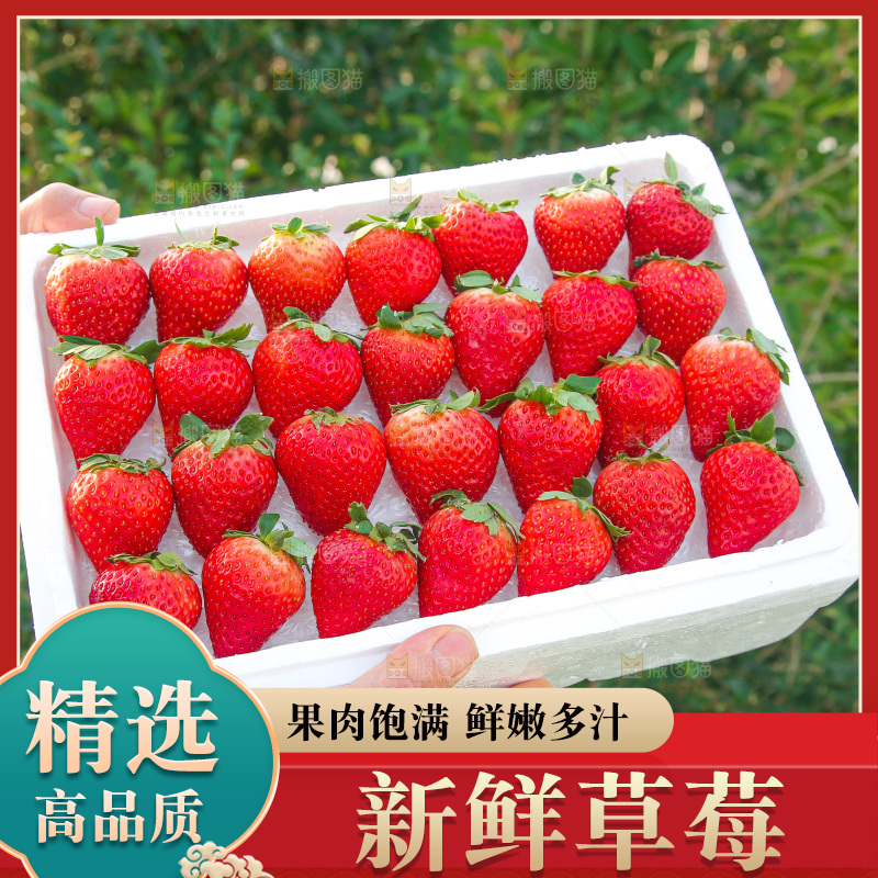 箱子里装的新鲜草莓