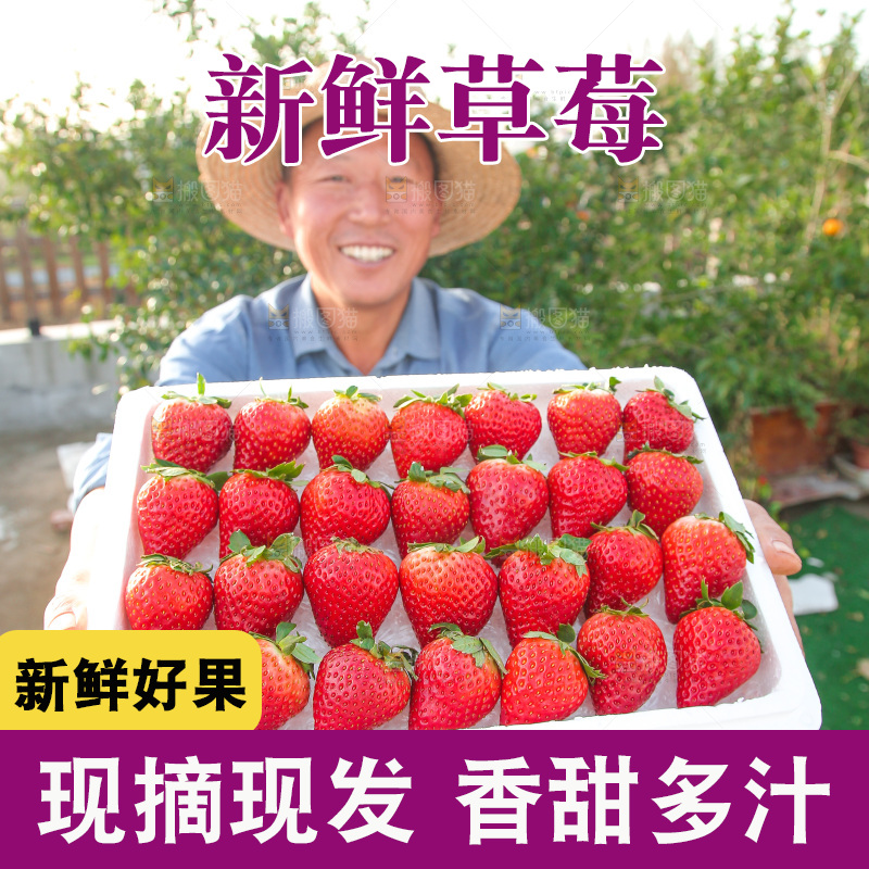 箱子里装的新鲜草莓