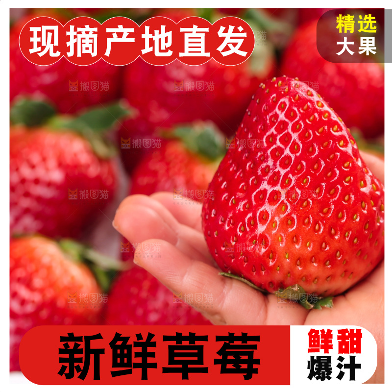 浅底上的丹东草莓