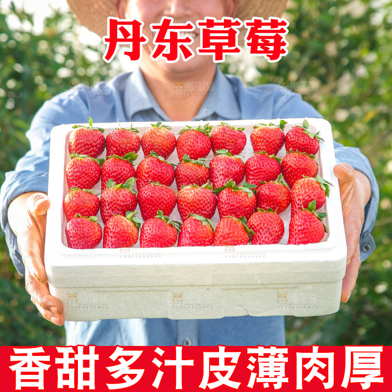 箱子里装的新鲜草莓