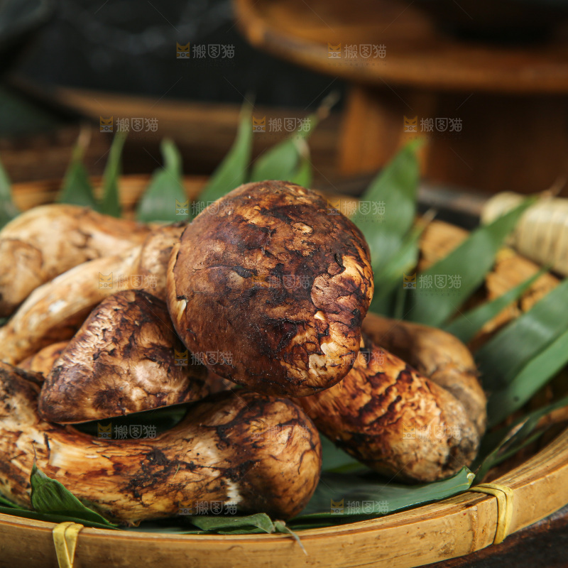深底上的松茸菇