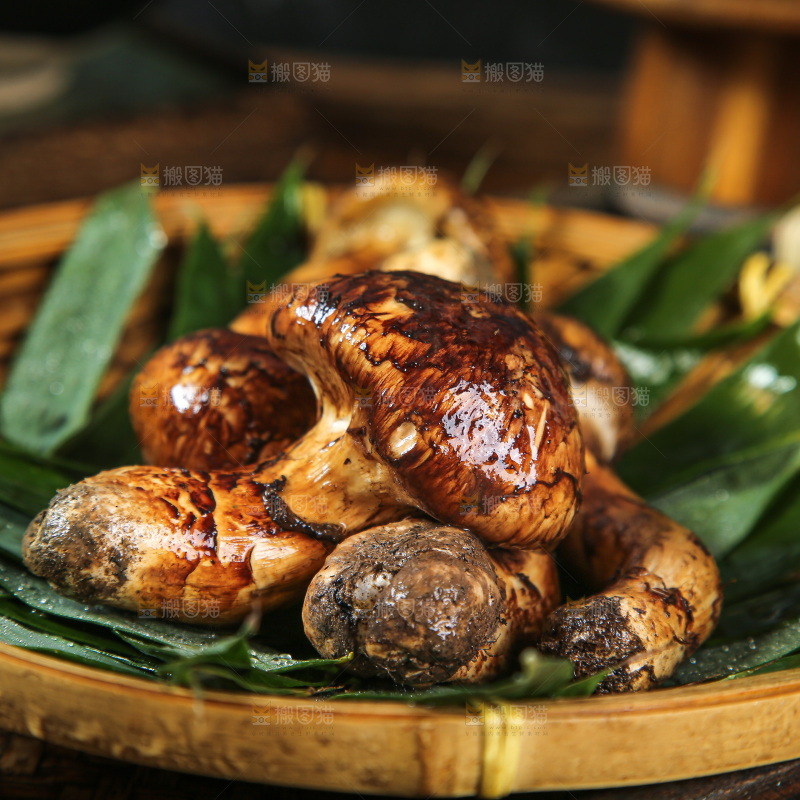 深底上的松茸菇