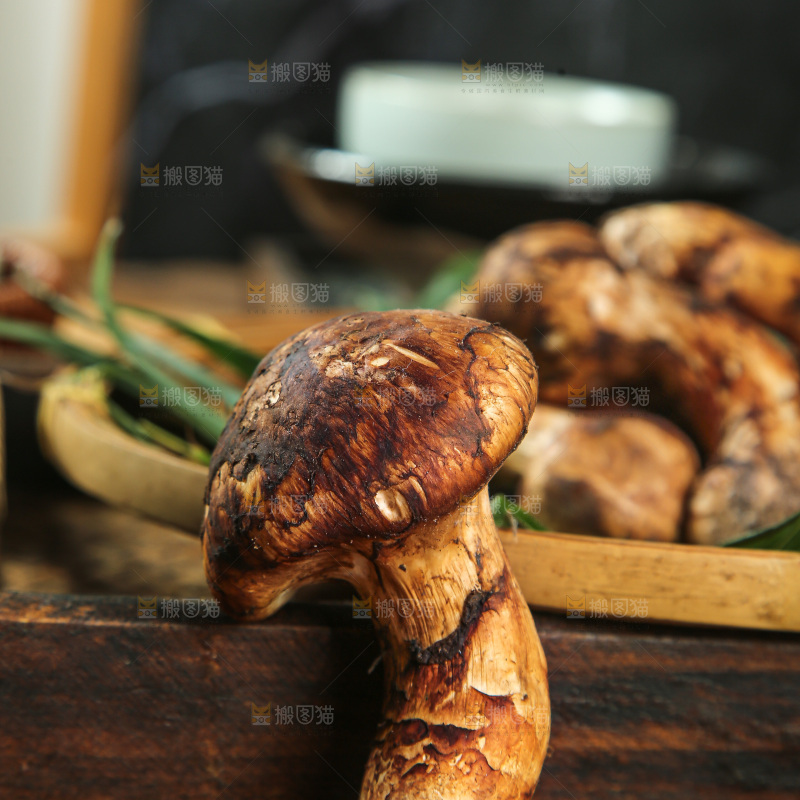 深底上的松茸菇