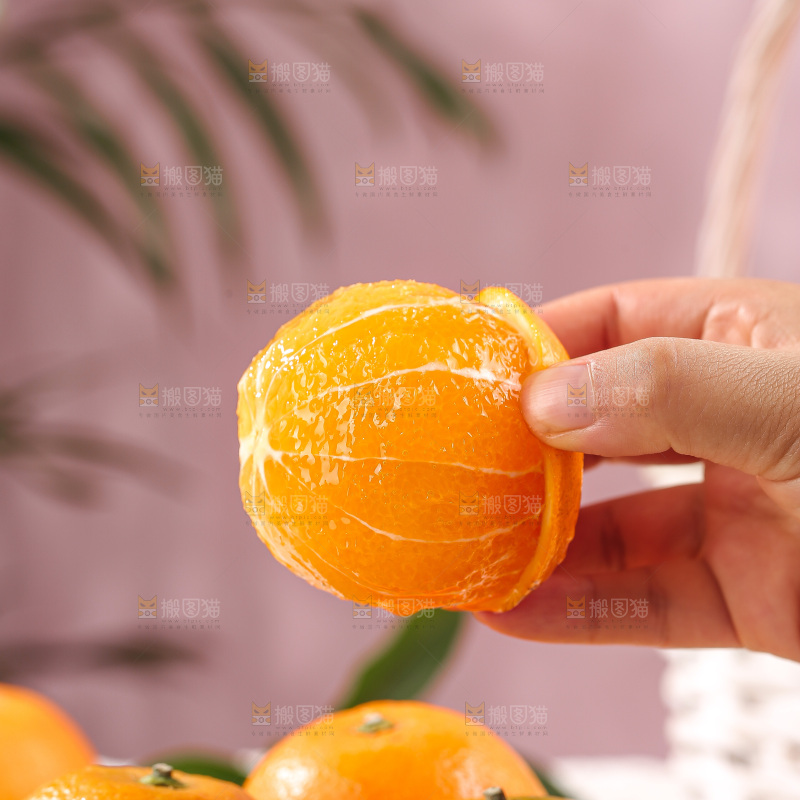 浅底上的麻阳冰糖橙