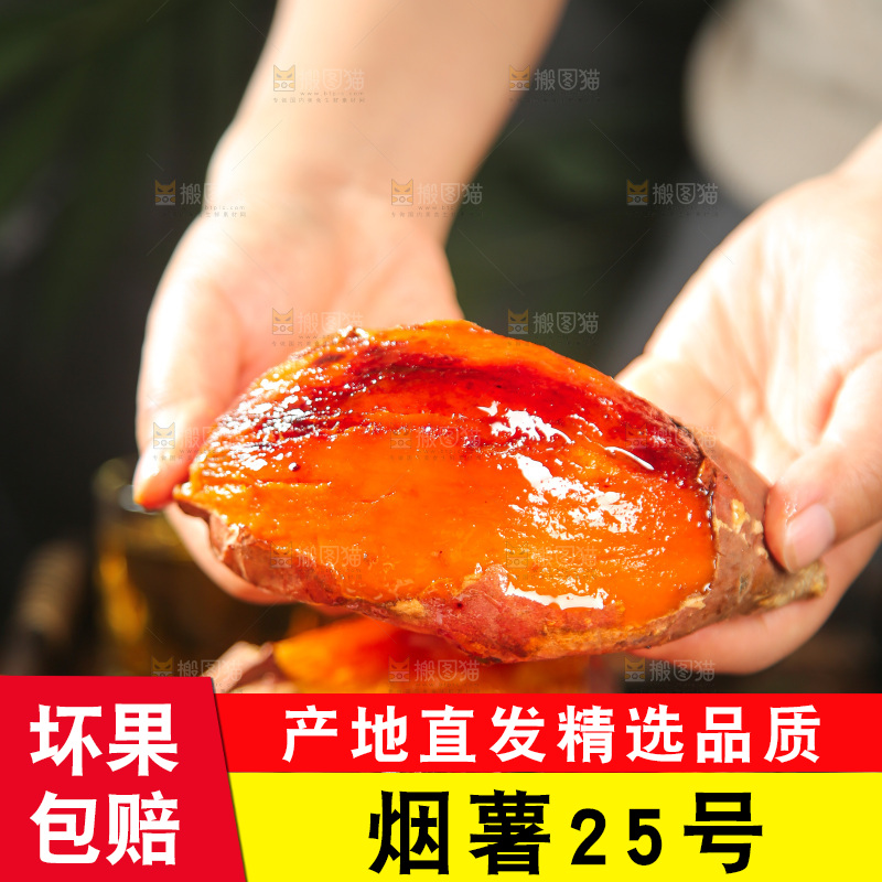 深底上的烤烟薯