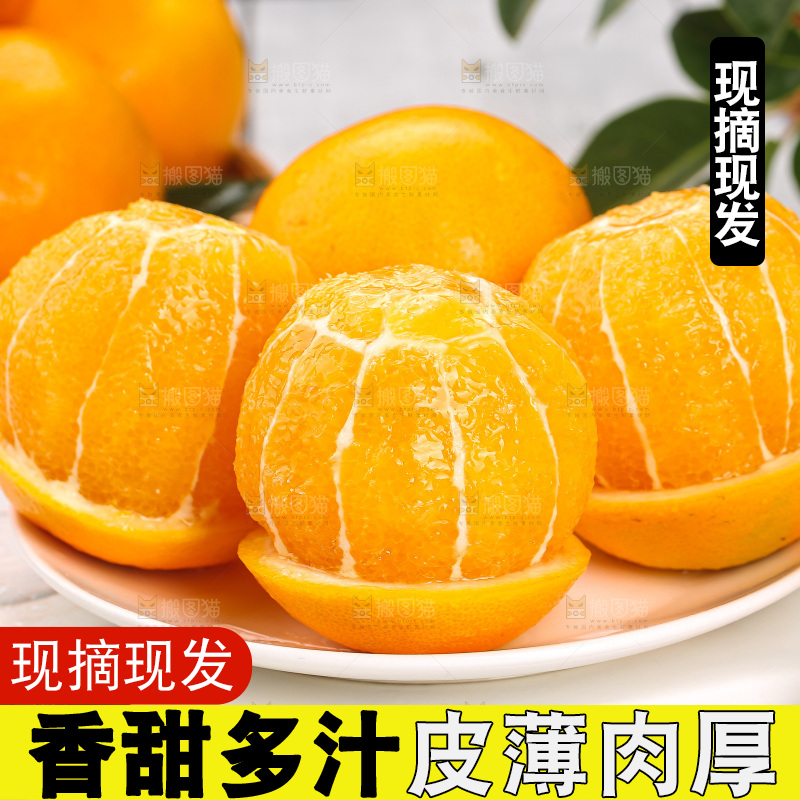 深底上的脐橙